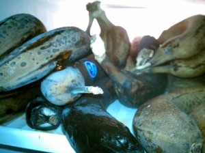 Frozen Banana