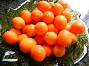 kumquat 1 Kumquats