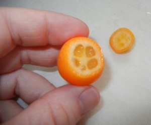 kumquat 2