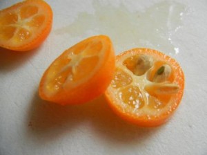 kumquat 3 Sliced Kumquats
