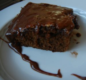 Emergency Chocolate Cake