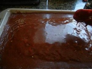 Emergency Chocolate Cake