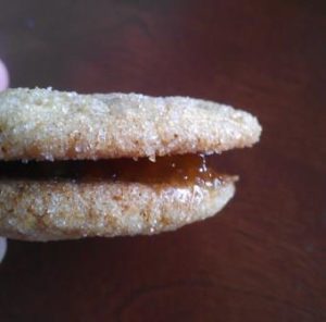 Ginger Apricot Cookies