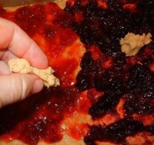 peanutbutter and jelly cookie