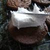Chocolate Peppermint sandwich Cookie recipe