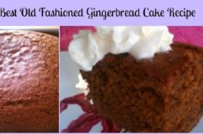 Best-Old-Fashioned-Gingerbread-Cake-Recipe