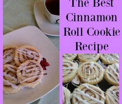 best-cinnamon-roll-cookie-recipe-3