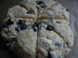 blueberry scones