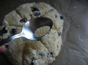 BLueberry scones