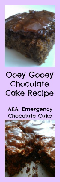 ooey gooey chocolate cake recipe