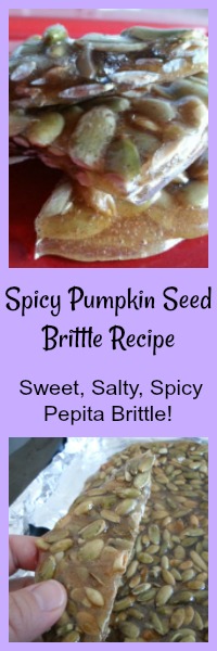 spicy pumpkin seed brittle recipe