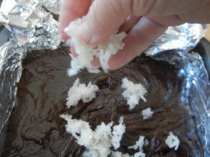 Chocolate Coconut Brownie Recipe